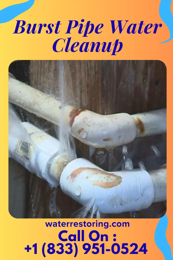 Burst Pipe Water Cleanup in East Washington, PA