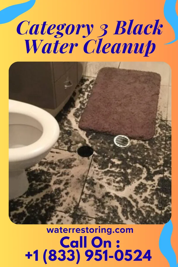Category 3 Black Water Cleanup in East Washington, PA