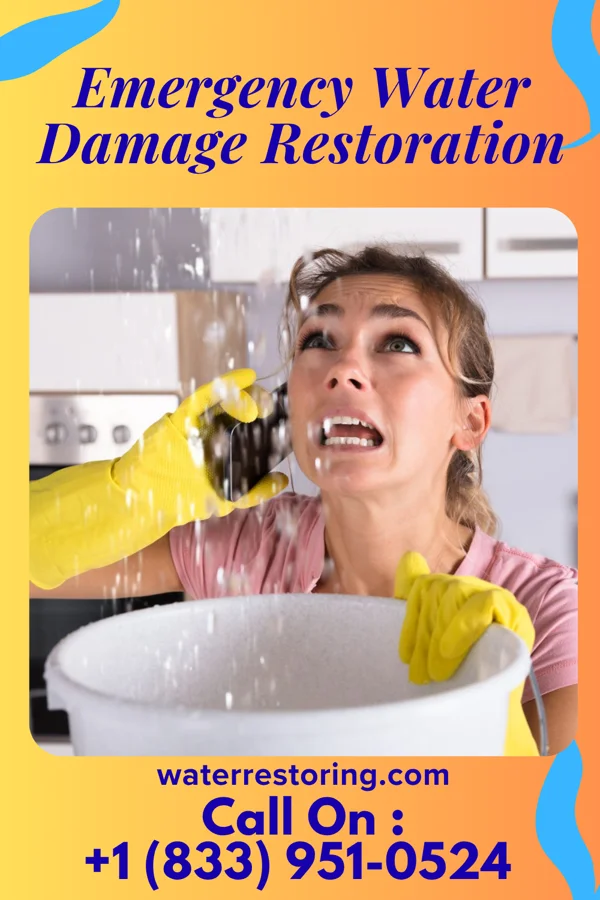 Emergency Water Damage Restoration in East Washington, PA