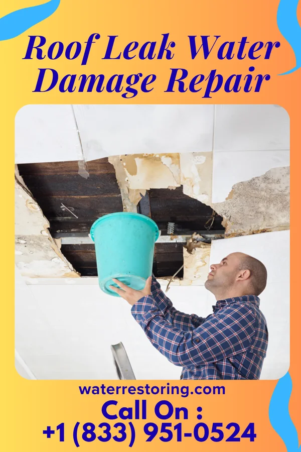 Roof Leak Water Damage Repair in East Washington, PA