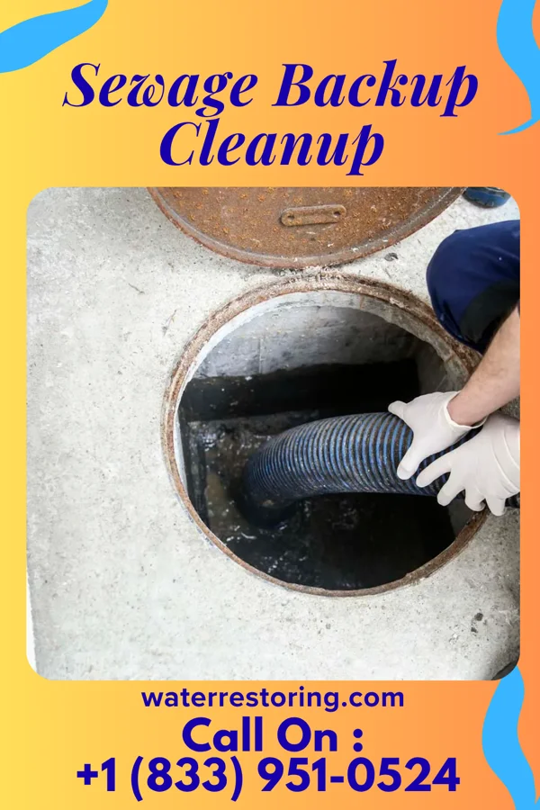 Sewage Backup Cleanup in East Washington, PA