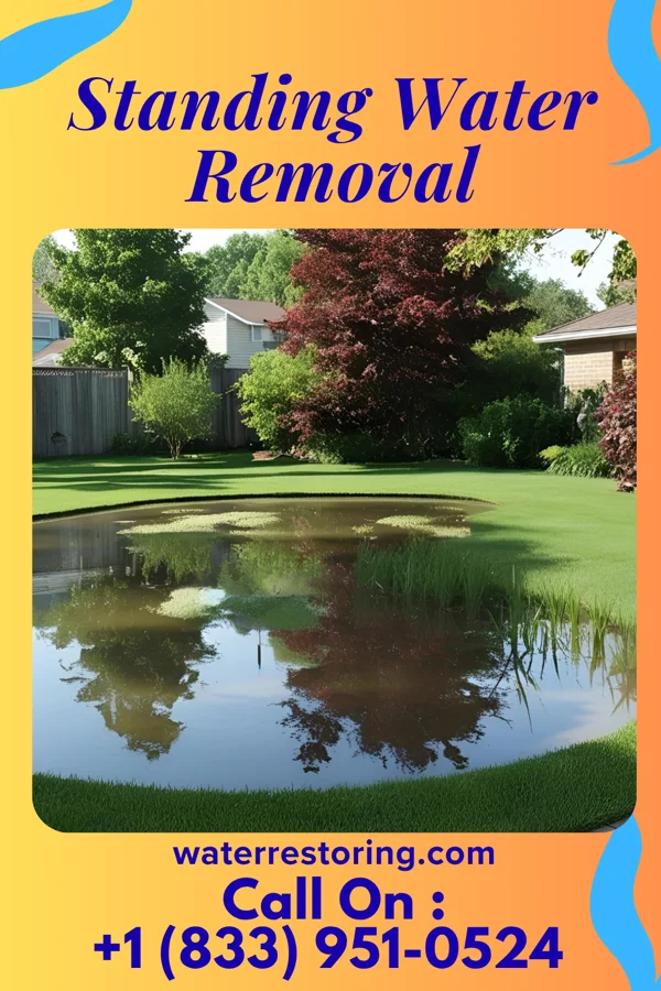 Standing Water Removal in East Washington, PA